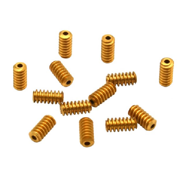 Precision Worm Gears