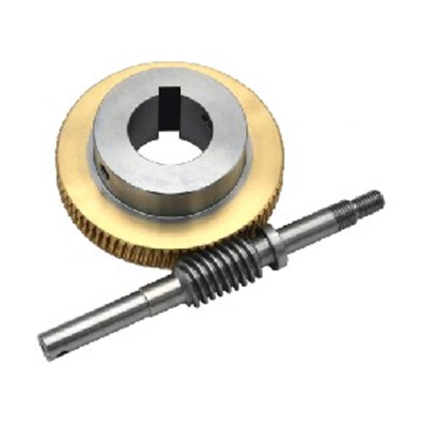 Precision Worm Gears